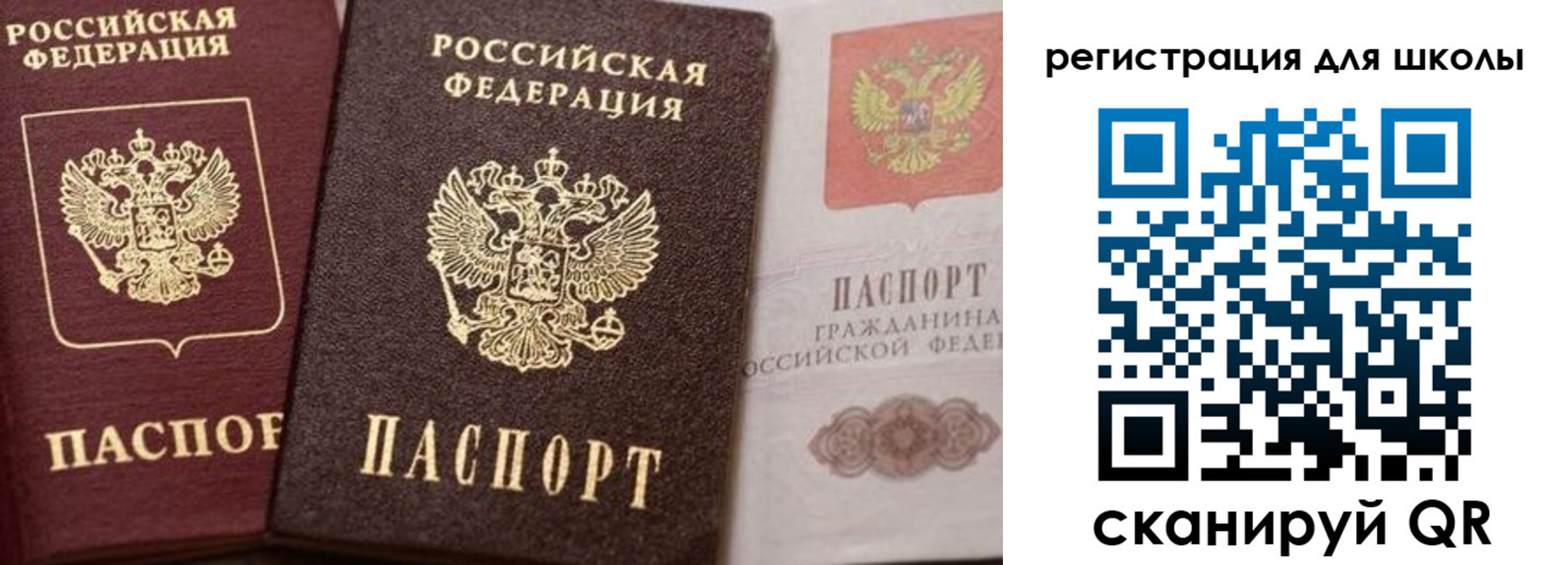 прописка штамп в Мончегорске